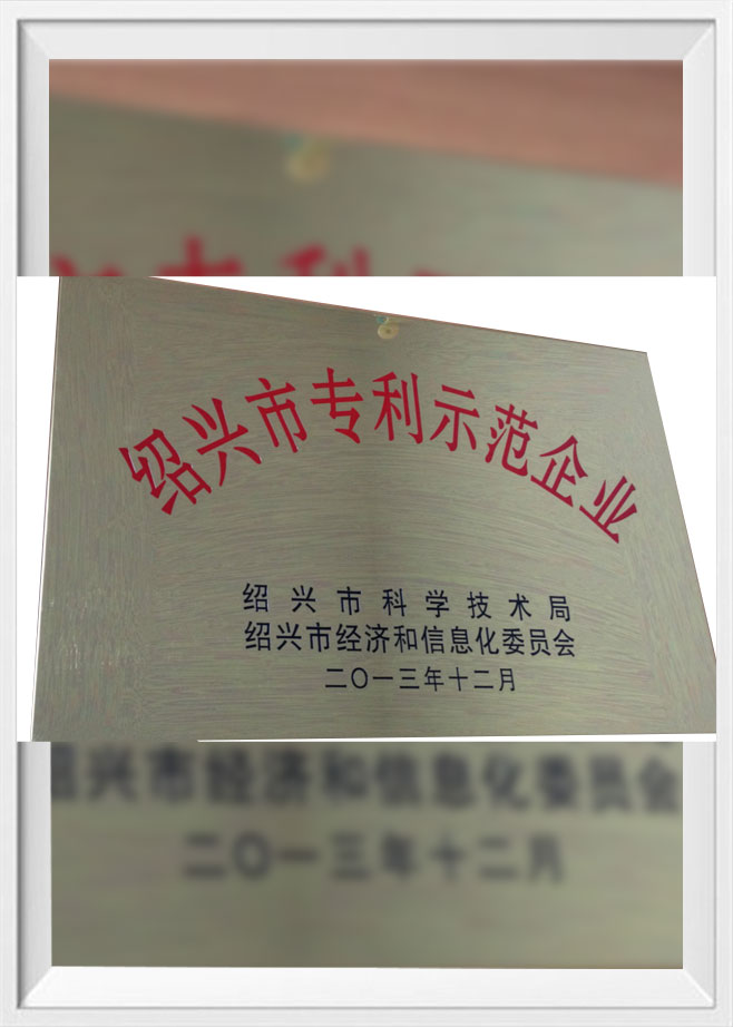 Shaoxing Patent Demonstration Enterprise